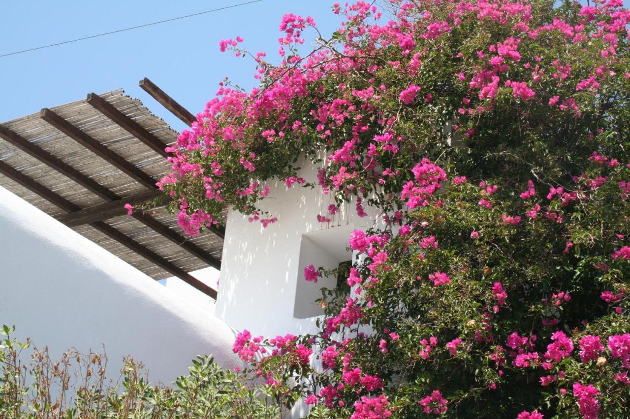 Petra Holiday Village Chora  Dış mekan fotoğraf