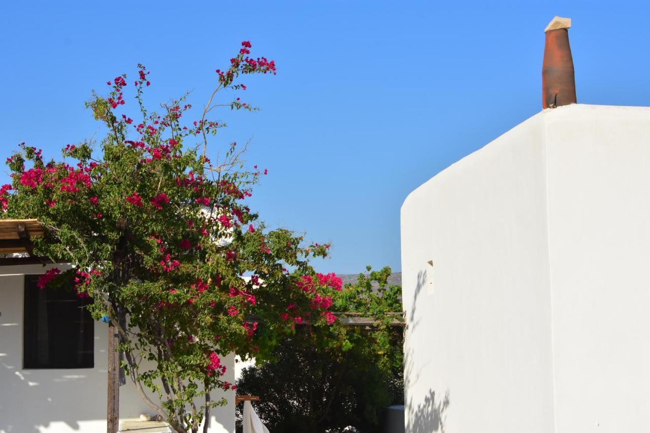 Petra Holiday Village Chora  Dış mekan fotoğraf