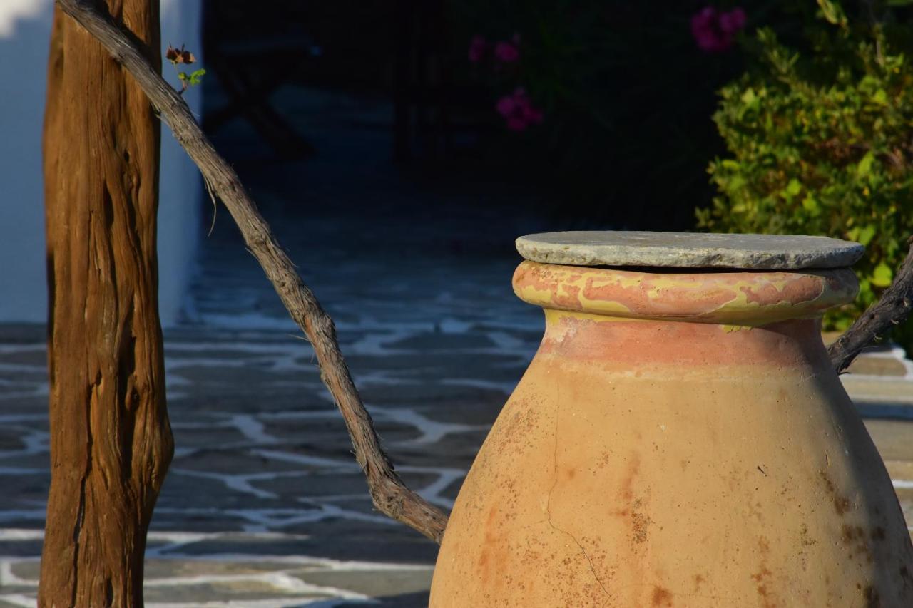Petra Holiday Village Chora  Dış mekan fotoğraf